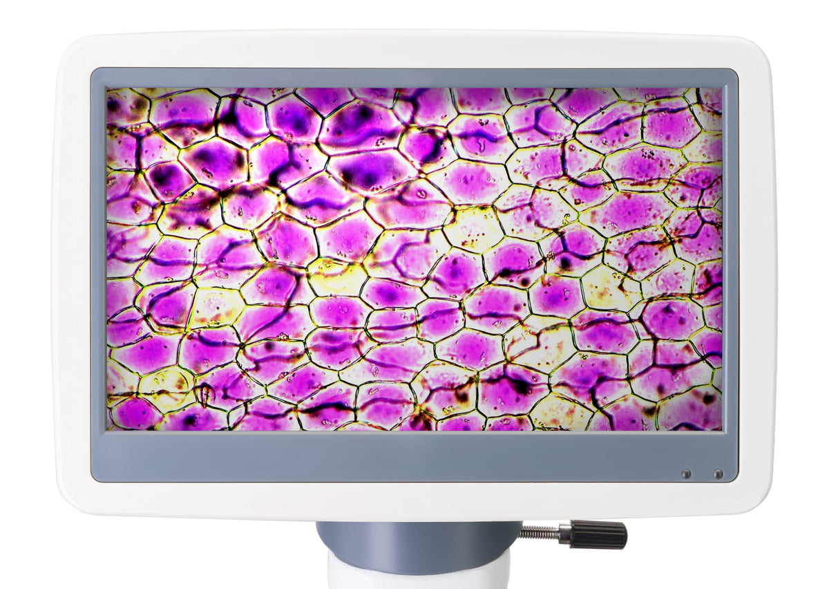 Microscopio digital Levenhuk D85L LCD