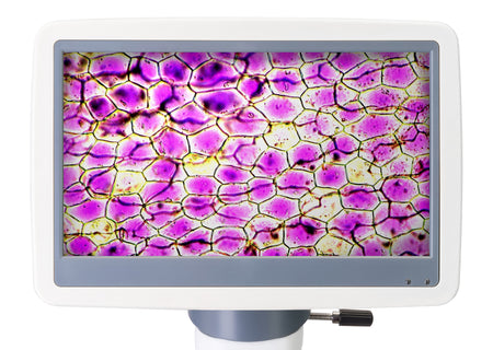 Microscopio digital Levenhuk D85L LCD