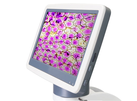 Microscopio digital Levenhuk D85L LCD