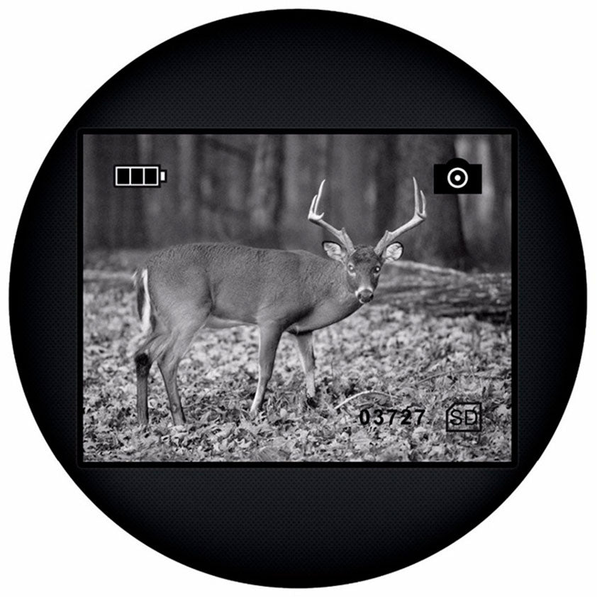 Monocular de visión nocturna Levenhuk Atom Digital DNM100