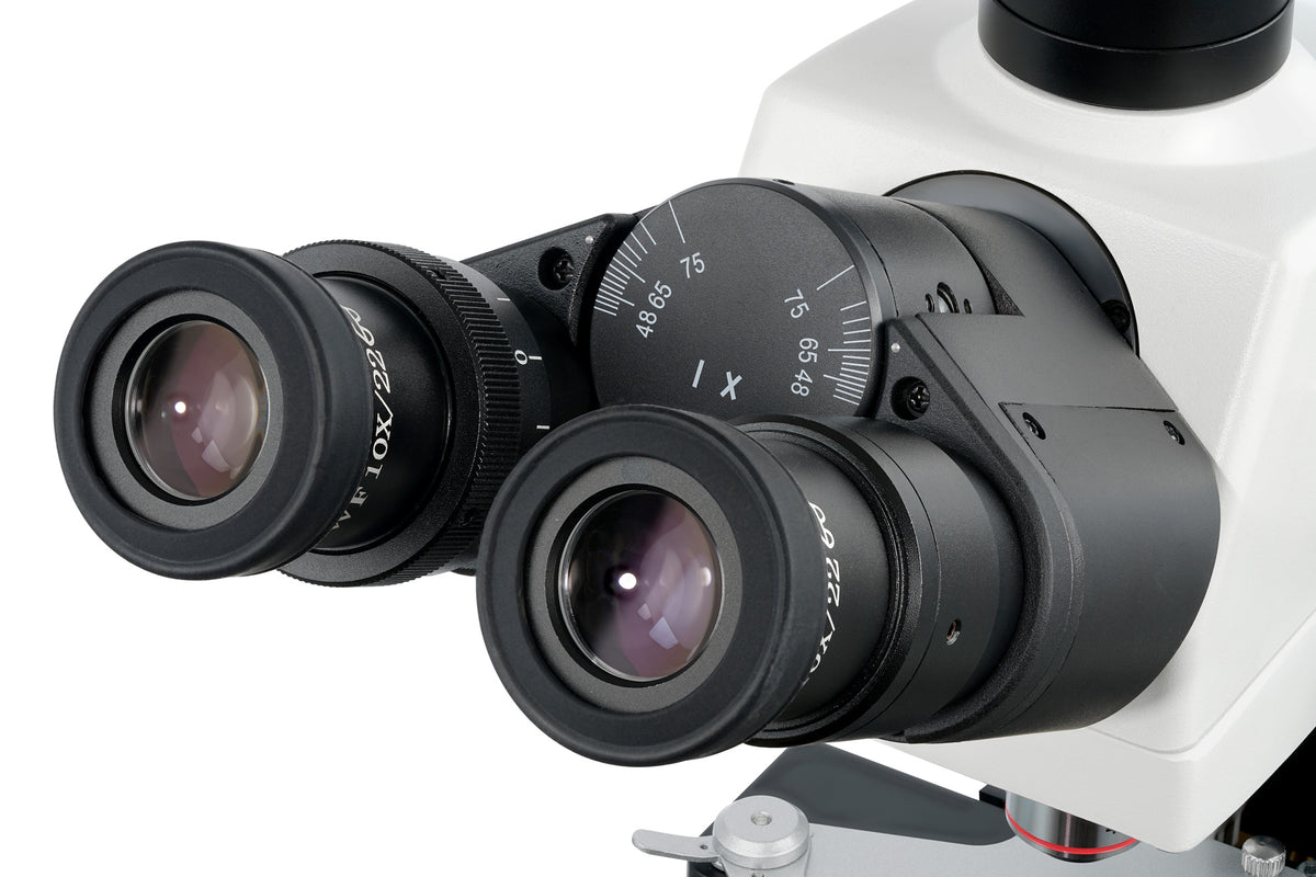 Microscopio trinocular digital Levenhuk MED D40T
