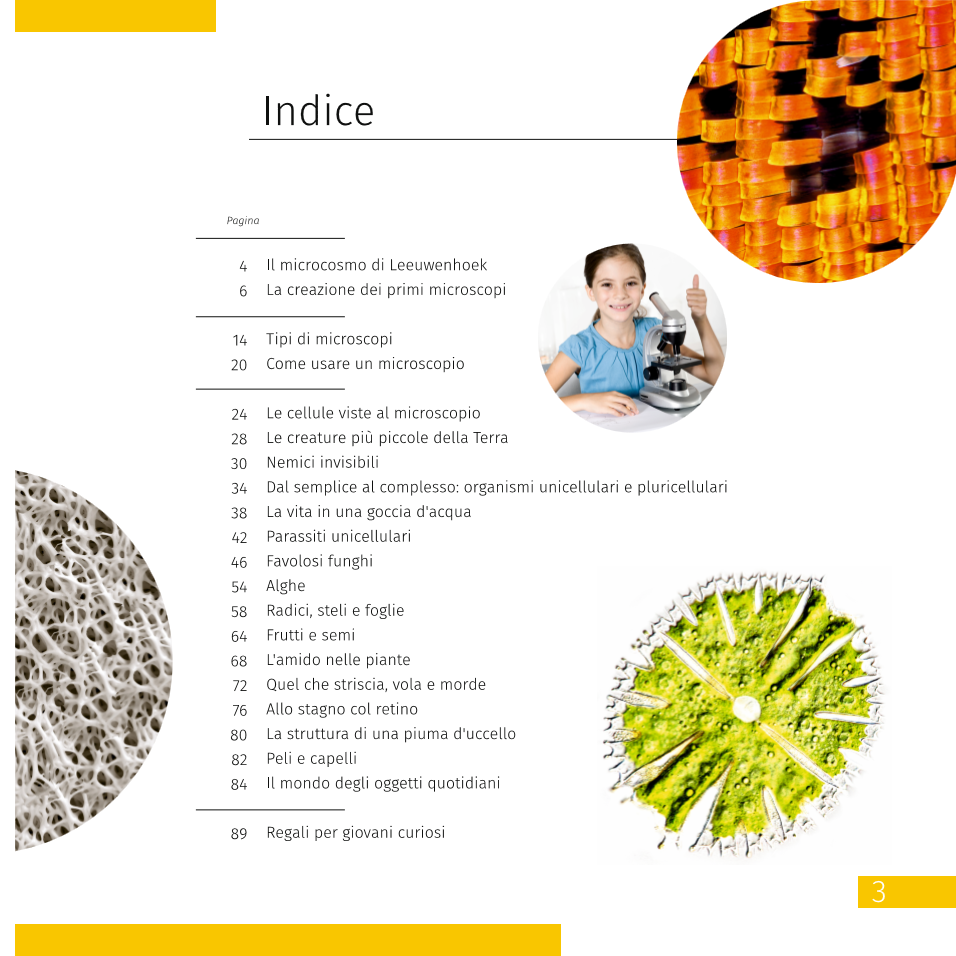 Invisible World (el mundo invisible). El libro educativo. Tapa dura