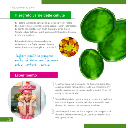 Invisible World (el mundo invisible). El libro educativo. Tapa dura