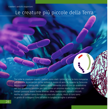 Invisible World (el mundo invisible). El libro educativo. Tapa dura