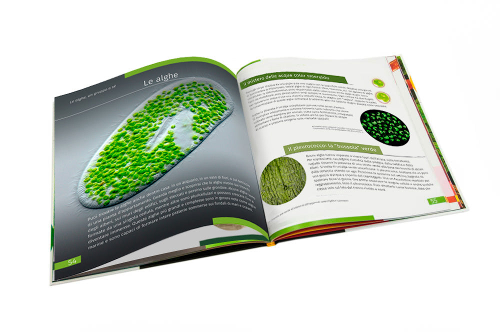Invisible World (el mundo invisible). El libro educativo. Tapa dura