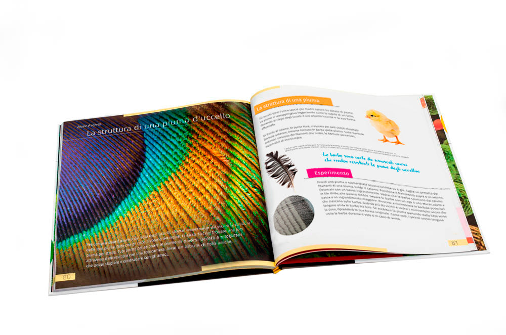 Invisible World (el mundo invisible). El libro educativo. Tapa dura
