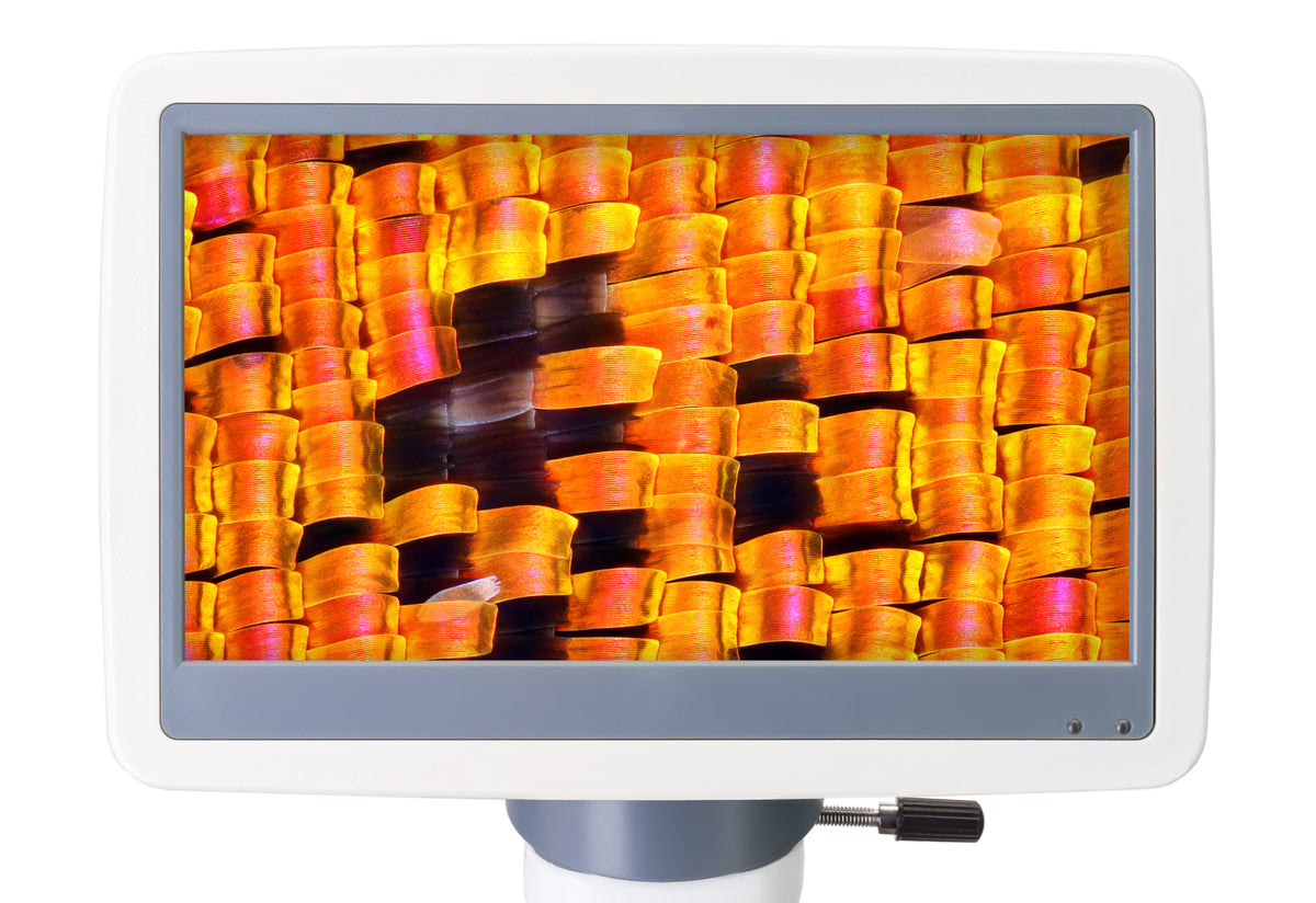 Microscopio digital Levenhuk D95L LCD