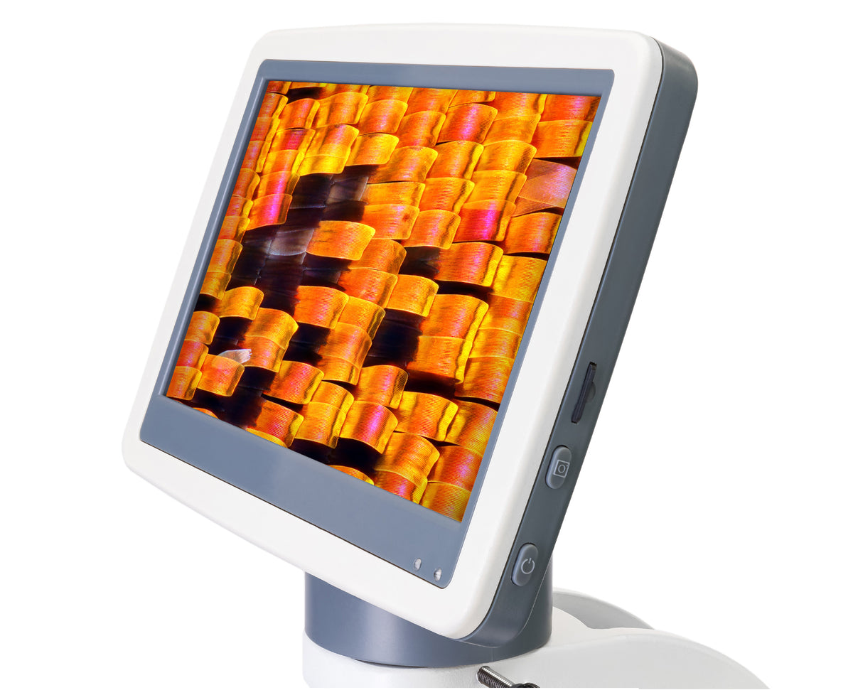Microscopio digital Levenhuk D95L LCD