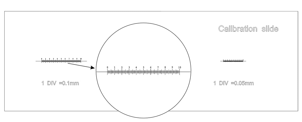 Portaobjetos de calibración MAGUS CS3 (0,01/0,05/0,1)