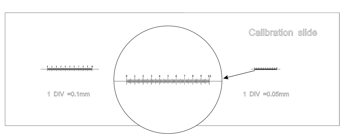 Portaobjetos de calibración MAGUS CS3 (0,01/0,05/0,1)