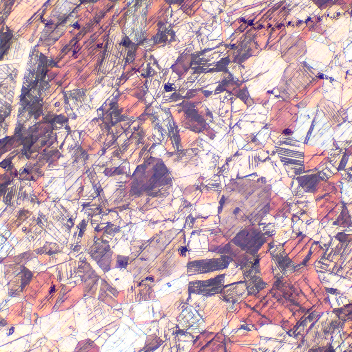 Microscopio metalúrgico MAGUS Metal 600