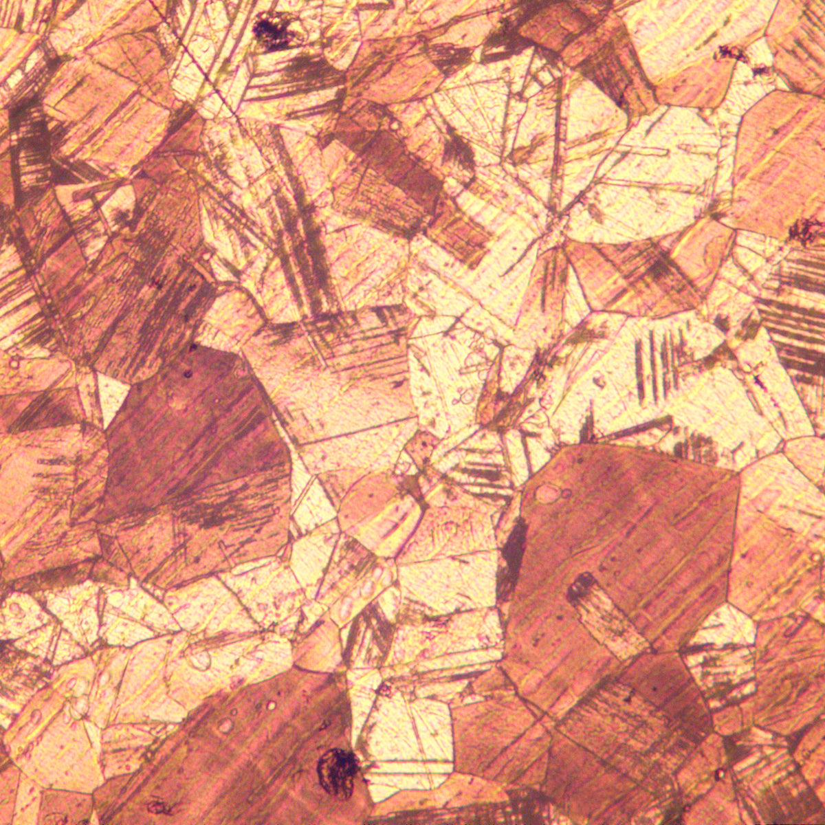 Microscopio metalúrgico MAGUS Metal 650