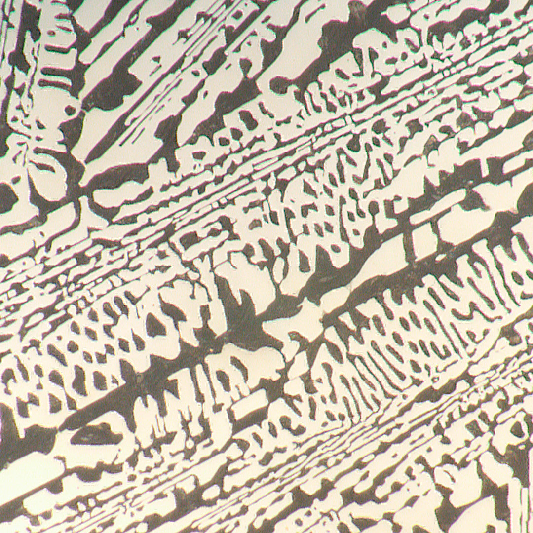 Microscopio metalúrgico MAGUS Metal 650 BD