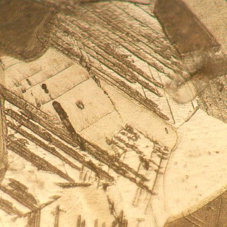 Microscopio metalúrgico invertido MAGUS Metal V700 BD