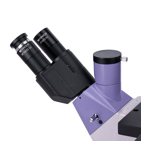 Microscopio biológico invertido MAGUS Bio V350