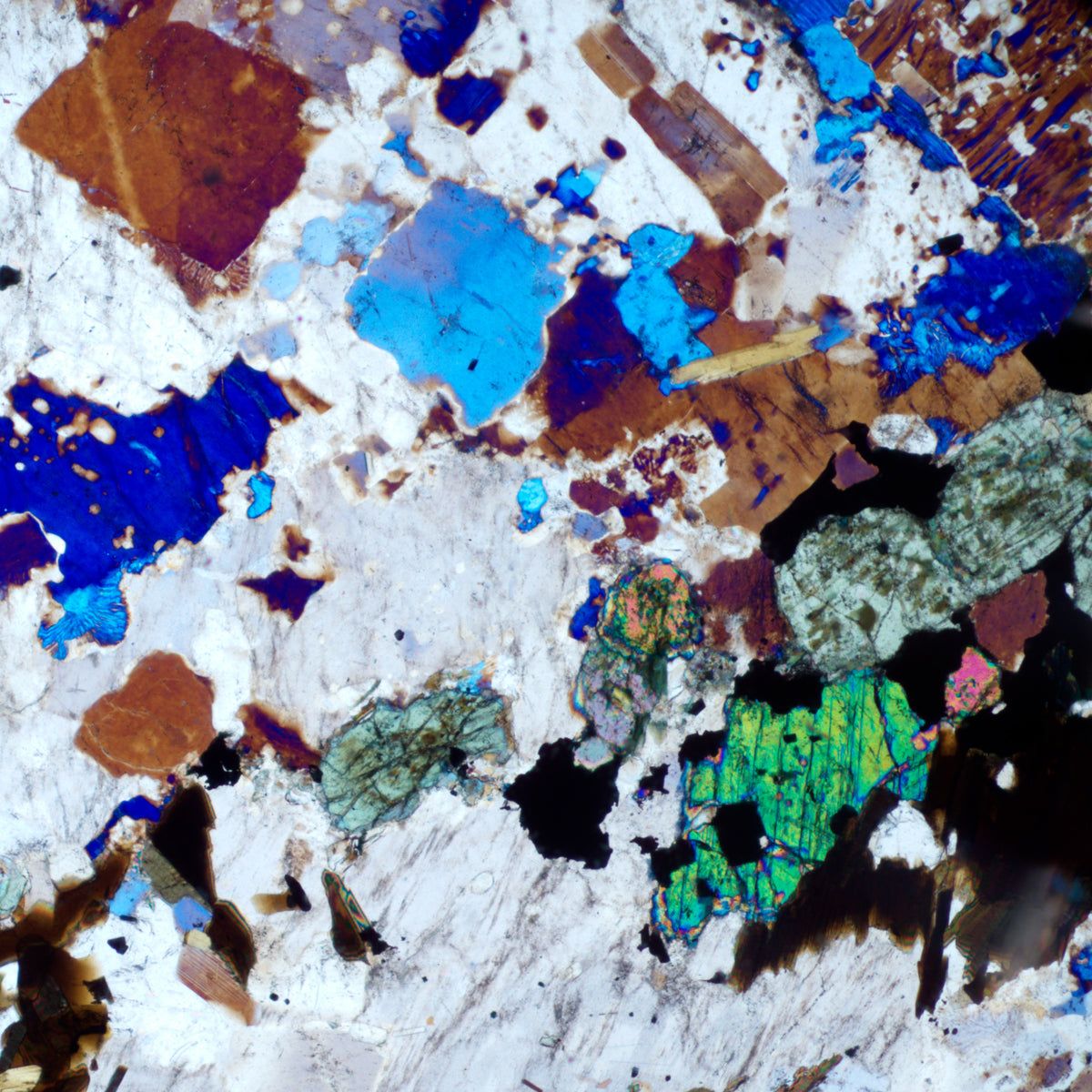 Microscopio polarizador MAGUS Pol 800