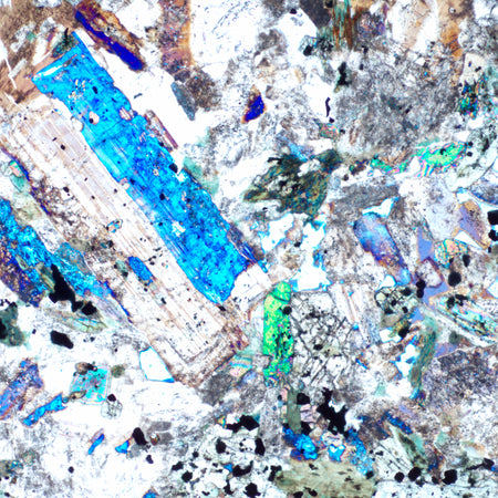 Microscopio polarizador MAGUS Pol 850