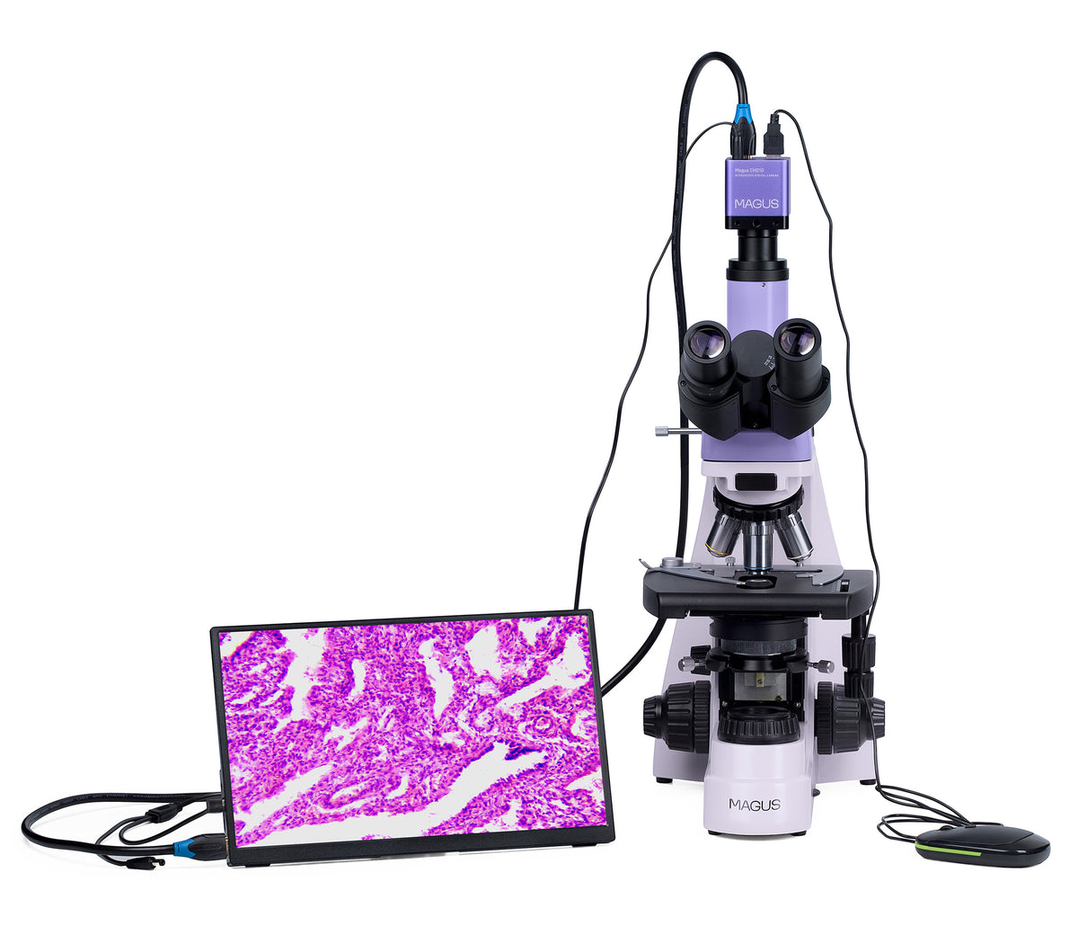 Microscopio biológico digital MAGUS Bio D250T LCD