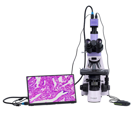 Microscopio biológico digital MAGUS Bio D250TL LCD
