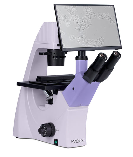 Microscopio biológico invertido digital MAGUS Bio VD300 LCD