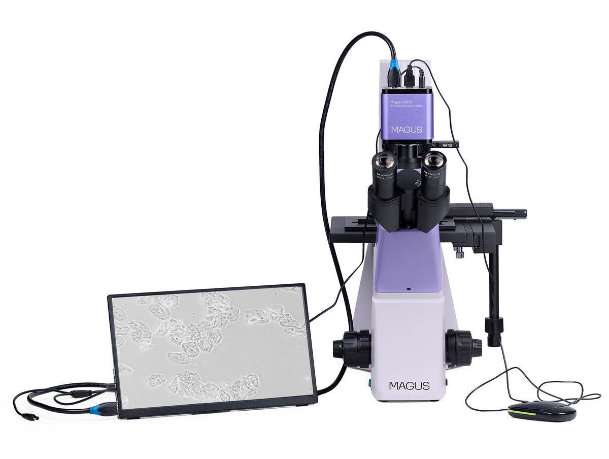 Microscopio biológico invertido digital MAGUS Bio VD300 LCD