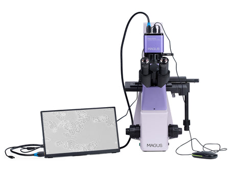 Microscopio biológico invertido digital MAGUS Bio VD300 LCD