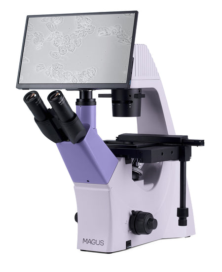 Microscopio biológico invertido digital MAGUS Bio VD300 LCD