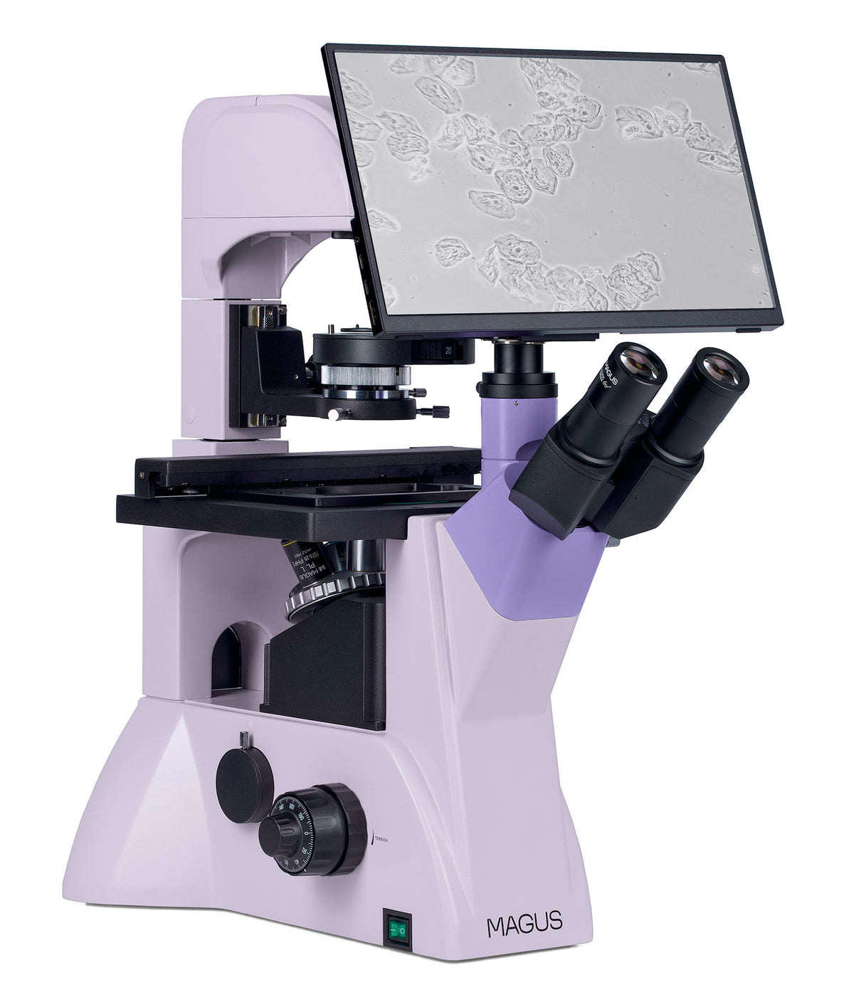 Microscopio biológico invertido digital MAGUS Bio VD350 LCD
