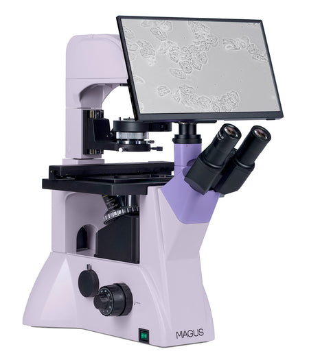 Microscopio biológico invertido digital MAGUS Bio VD350 LCD