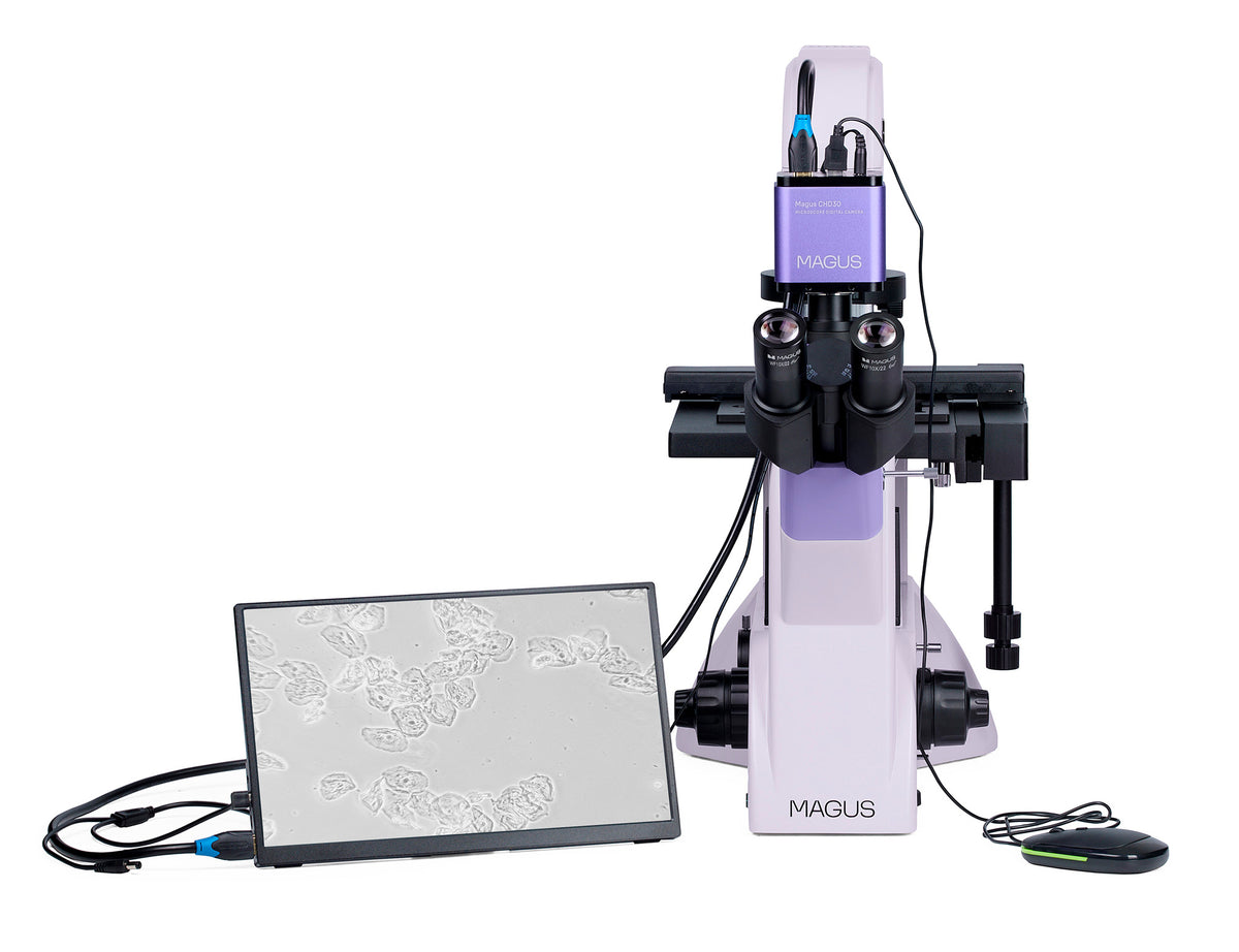 Microscopio biológico invertido digital MAGUS Bio VD350 LCD