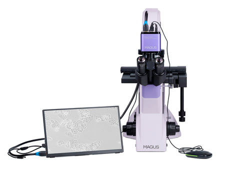 Microscopio biológico invertido digital MAGUS Bio VD350 LCD