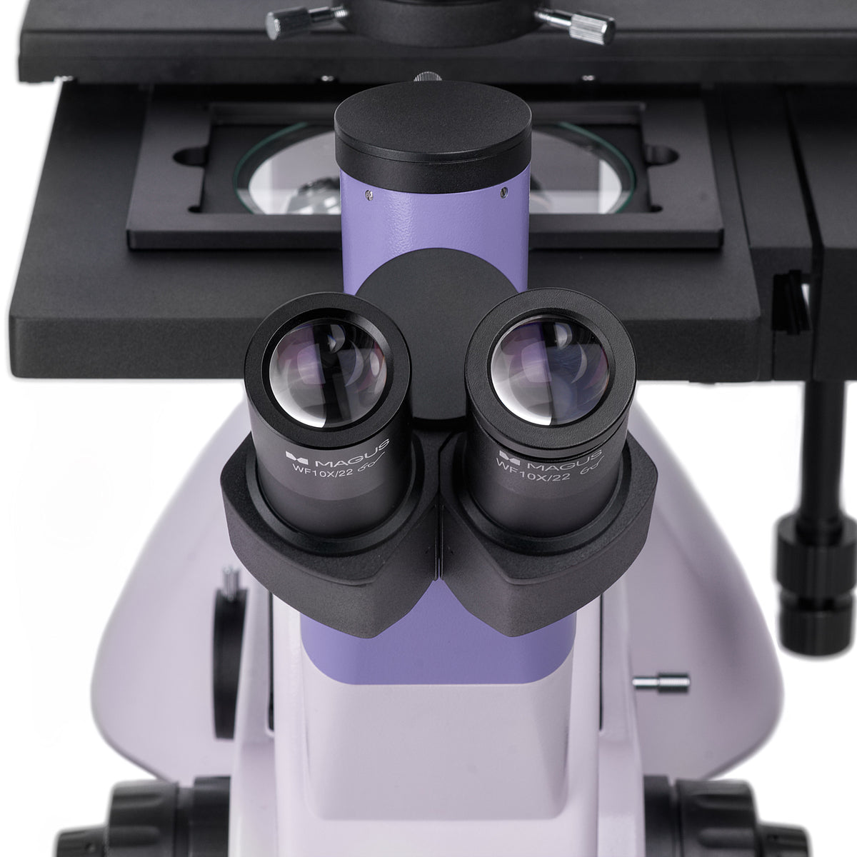 Microscopio biológico invertido digital MAGUS Bio VD350 LCD