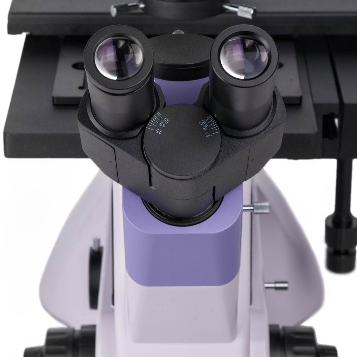 Microscopio biológico invertido digital MAGUS Bio VD350 LCD