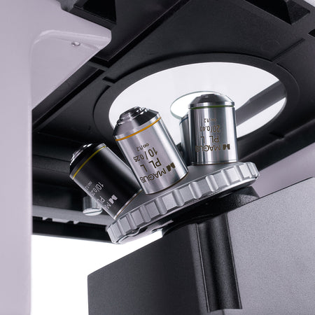 Microscopio biológico invertido digital MAGUS Bio VD350 LCD
