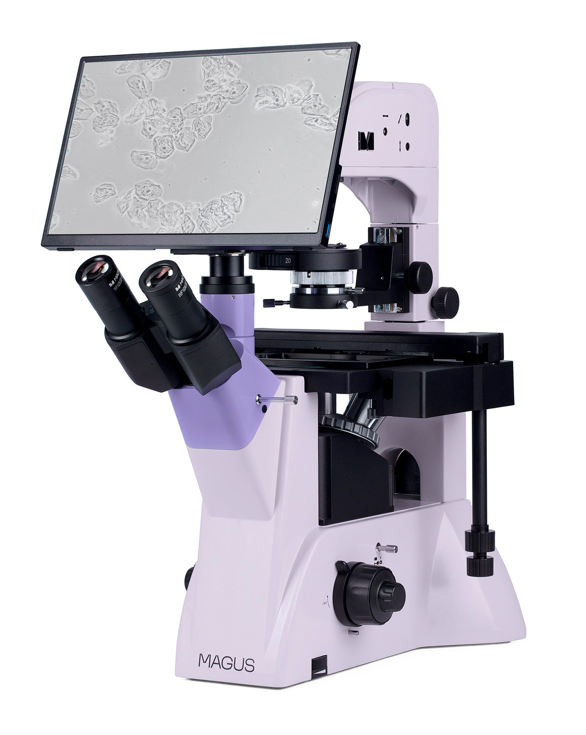 Microscopio biológico invertido digital MAGUS Bio VD350 LCD