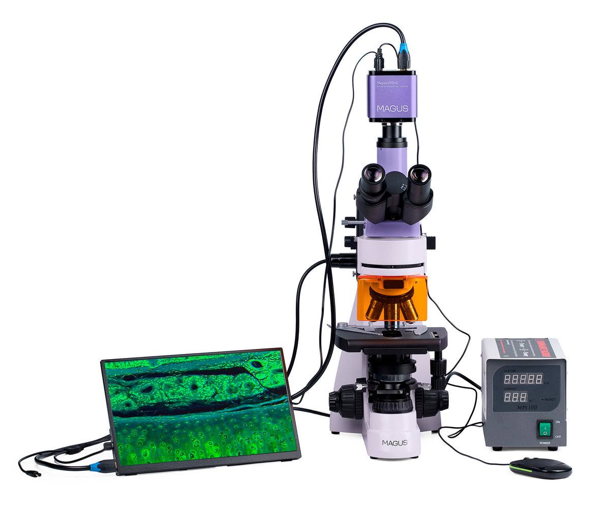 Microscopio de fluorescencia digital MAGUS Lum D400 LCD