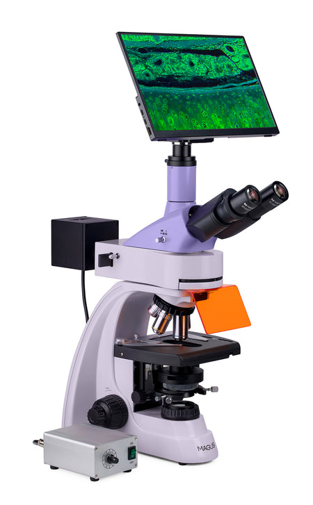 Microscopio de fluorescencia digital MAGUS Lum D400L LCD
