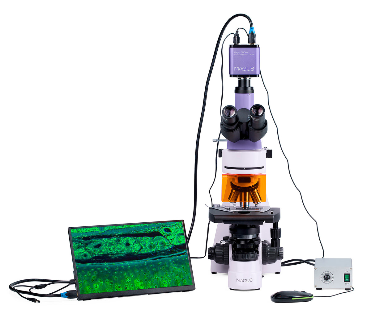 Microscopio de fluorescencia digital MAGUS Lum D400L LCD