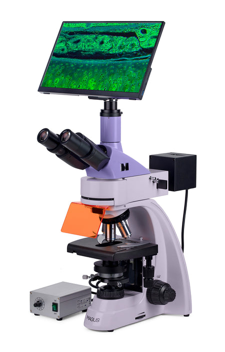 Microscopio de fluorescencia digital MAGUS Lum D400L LCD