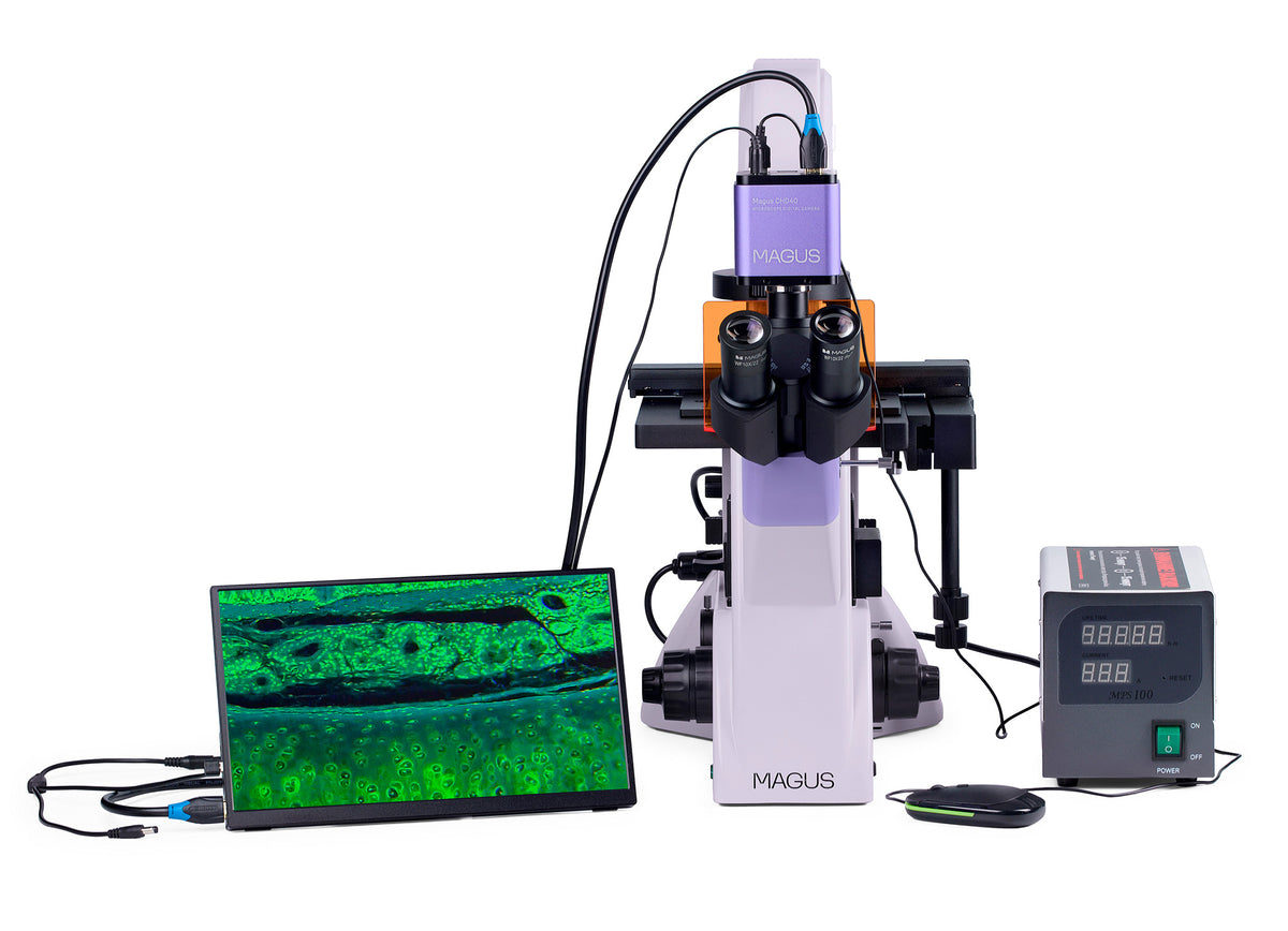 Microscopio digital invertido de fluorescencia MAGUS Lum VD500 LCD