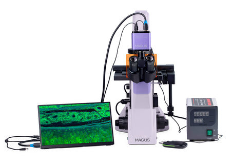 Microscopio digital invertido de fluorescencia MAGUS Lum VD500 LCD