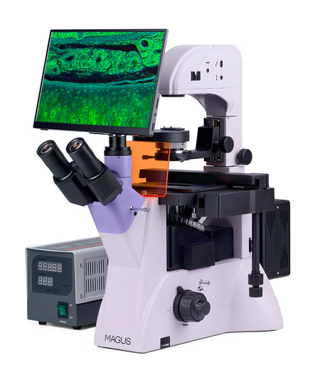 Microscopio digital invertido de fluorescencia MAGUS Lum VD500 LCD