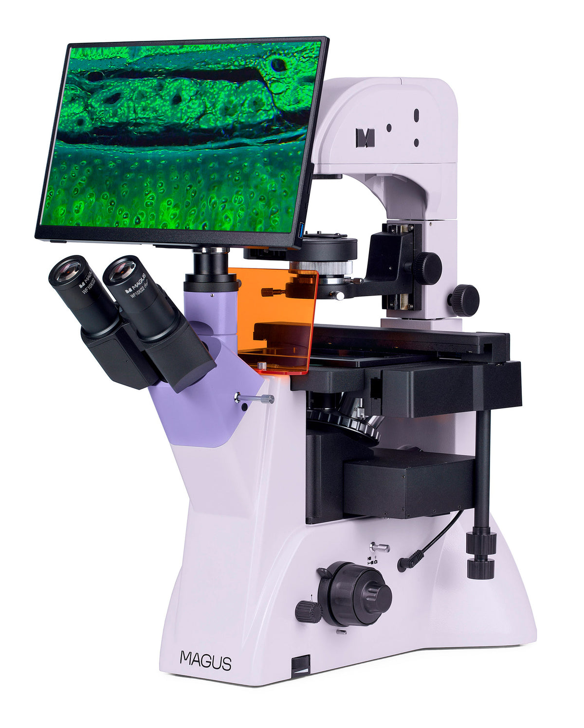 Microscopio invertido digital de fluorescencia MAGUS Lum VD500L LCD