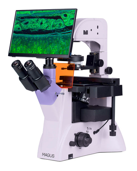 Microscopio invertido digital de fluorescencia MAGUS Lum VD500L LCD