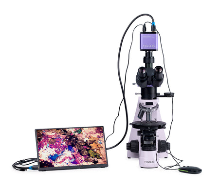 Microscopio polarizador digital MAGUS Pol D800 LCD