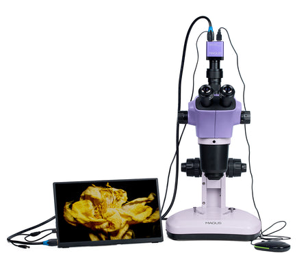 Estereomicroscopio digital MAGUS Stereo D9T LCD
