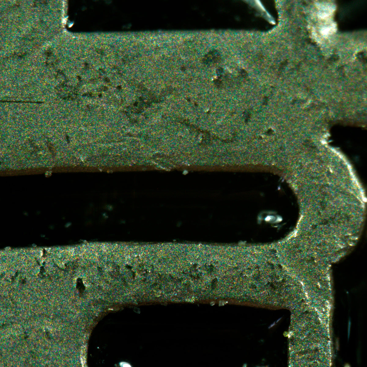 Estereomicroscopio MAGUS Stereo A18T