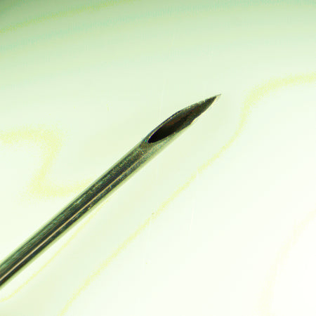 Estereomicroscopio digital MAGUS Stereo D8T BASE