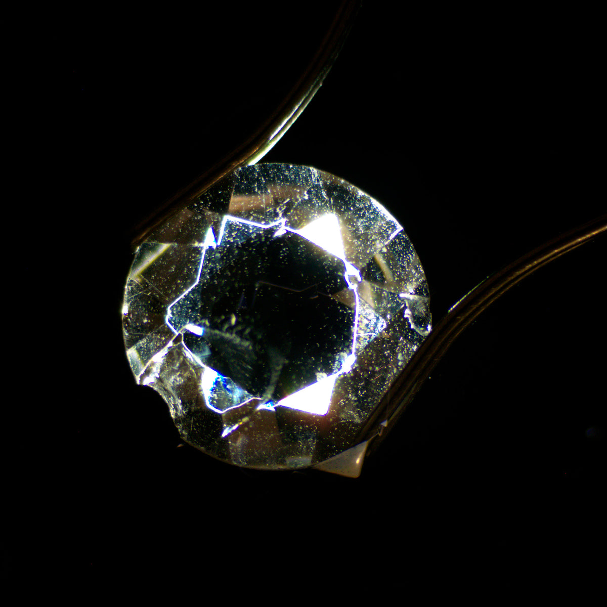 Condensador de campo oscuro MAGUS DFC1 para microscopios estereoscópicos
