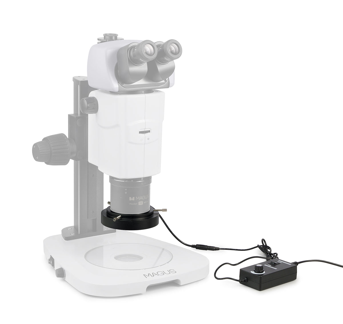 Lámpara anular LED MAGUS RL18T